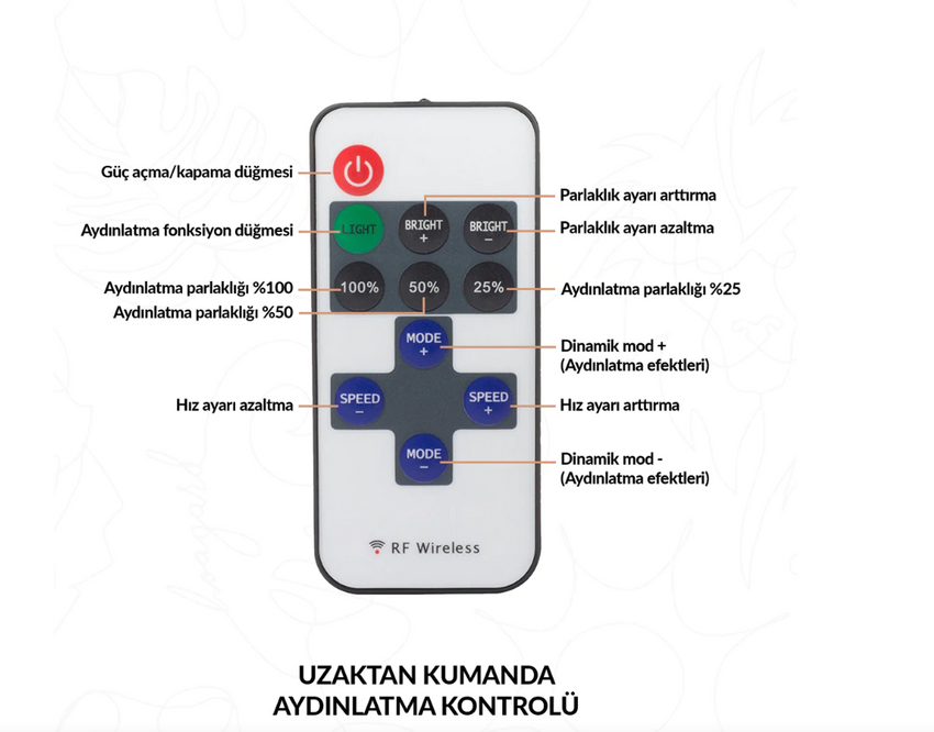 Kadın Heykeli LED Neon Işık - Modern Sanat Dekoru, Benzersiz Duvar Lambası, Ev ve Ofis Dekoratif Parçası, Kadınlar İçin Mükemmel Hediye