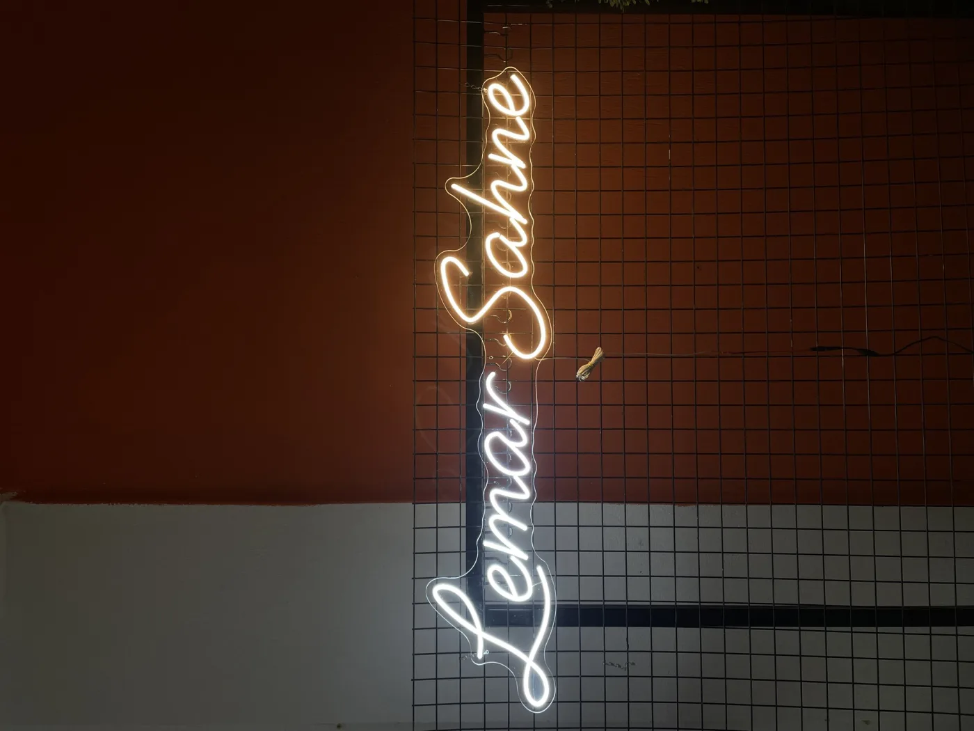 Kişiye Özel LED Neon Tabela – İşletme Logolu, Yazılı ve Baskılı Neon Tabela – İç ve Dış Mekan — görsel 14